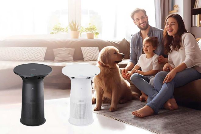Are Air Purifiers A Waste Of Money?