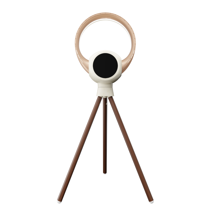 2 in 1 Tabletop Floor Use standing bladeless cool tower fan with light